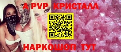 спайс Кингисепп
