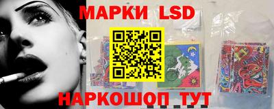 спайс Кингисепп