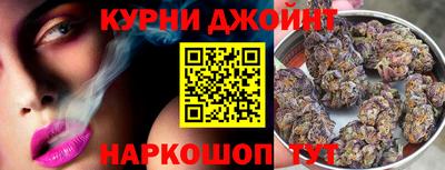 спайс Кингисепп