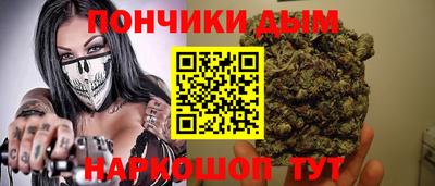 спайс Кингисепп