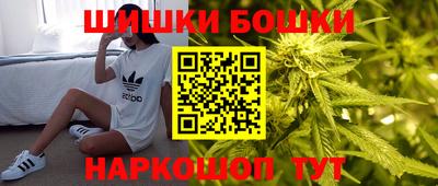 спайс Кингисепп