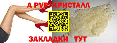 спайс Кингисепп
