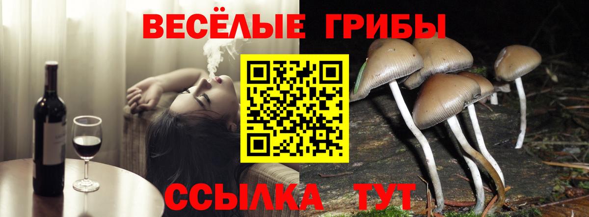 Галлюциногенные грибы мухоморы Коммунар