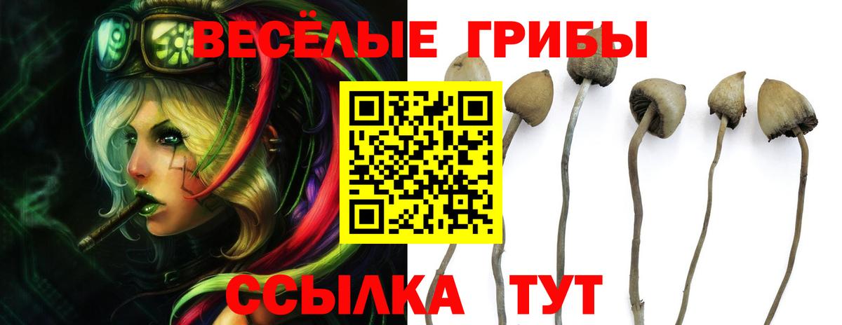 Коммунар  продажа наркотиков  Вход с VPN  Псилоцибиновые грибы Cubensis 